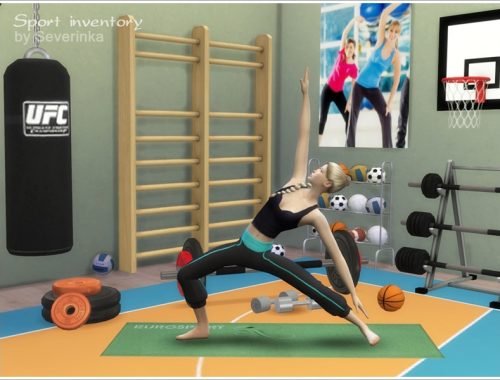 Sport inventory set