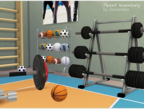 Sport inventory set