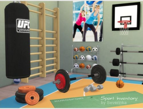 Sport inventory set