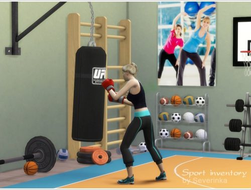 Sport inventory set
