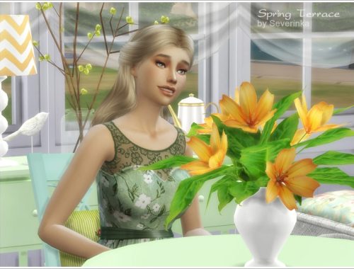 Spring Terrace