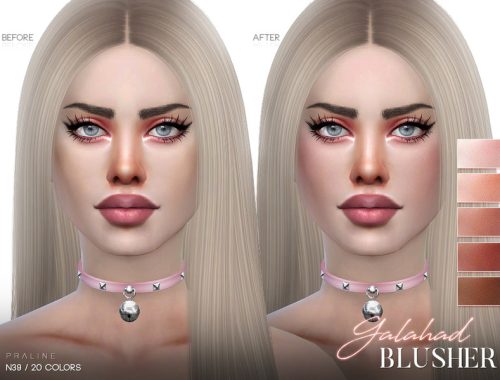 Galahad Blusher N39