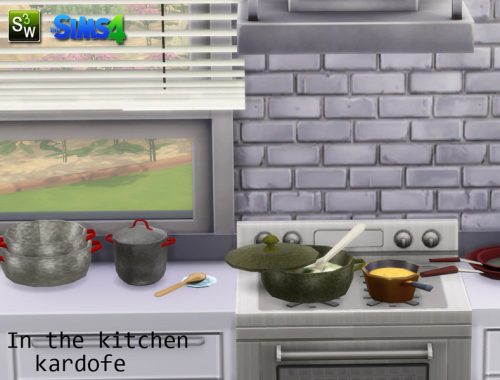 kardofe_In the kitchen