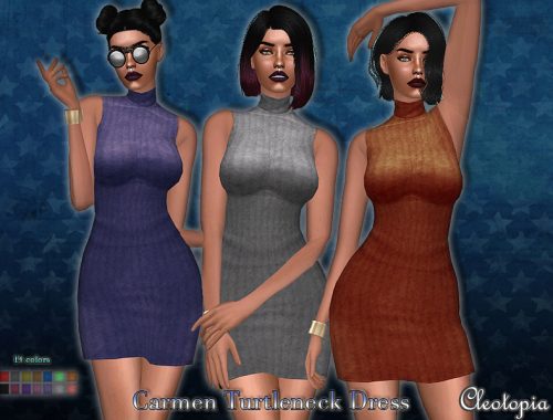Set48- Carmen Turtleneck Dress