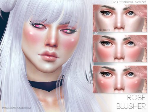 Rose Blusher N29