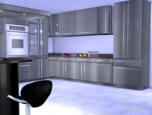 Stainless Steel Kitchen