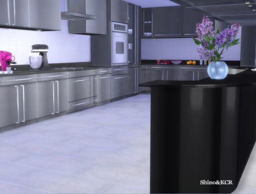 Stainless Steel Kitchen