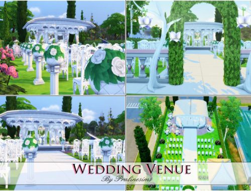 Wedding Venue