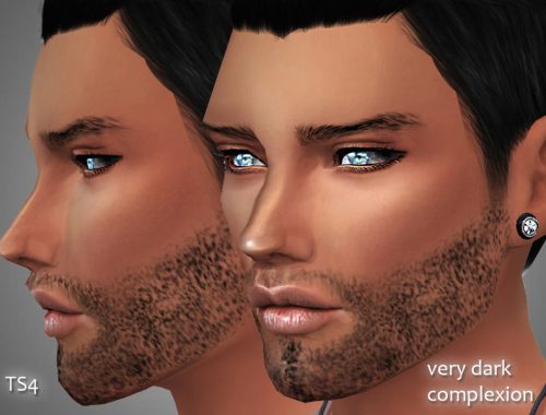 Realistic Men's beard