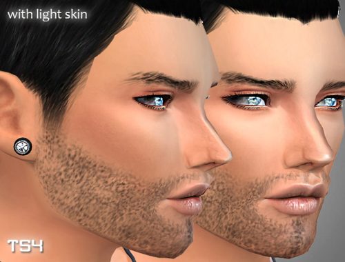 Realistic Men's beard