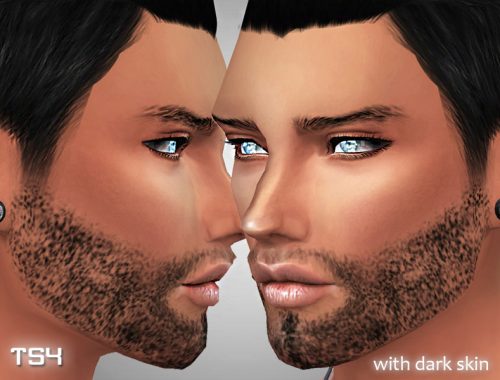 Realistic Men's beard
