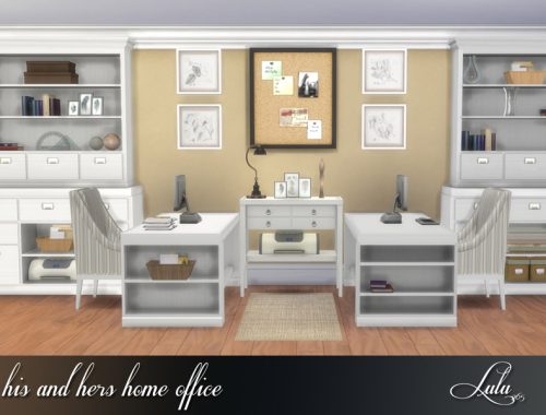 His and Hers Home Office