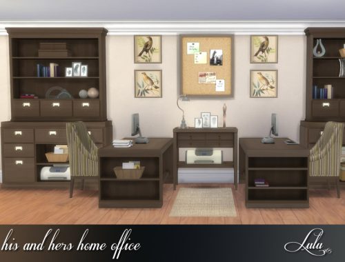 His and Hers Home Office