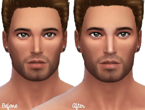 Face Highlights