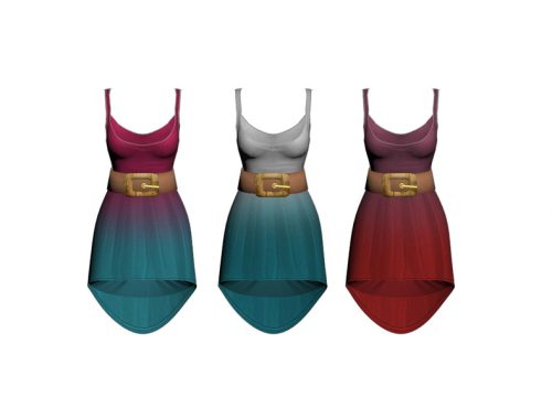 ShakeProductions 39 3D Belted Dress