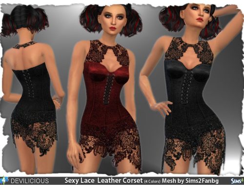 Sparkling Lace Leather Corset