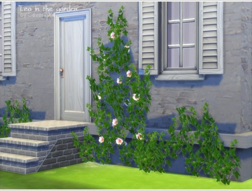 'Tea in the garden' set