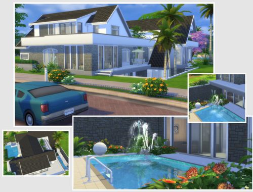Phenix (No CC)