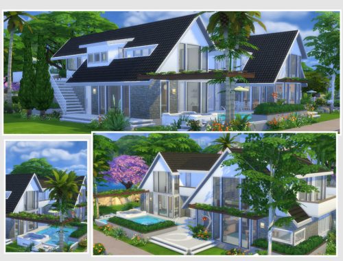 Phenix (No CC)