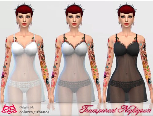 Transparent Nightgown