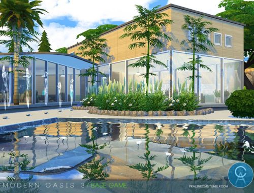 Modern Oasis 3