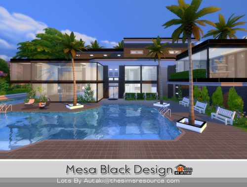 Mesa Black Design