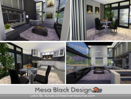 Mesa Black Design