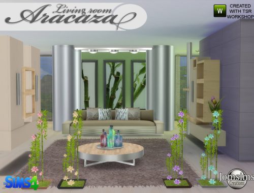 Aracaza living Room