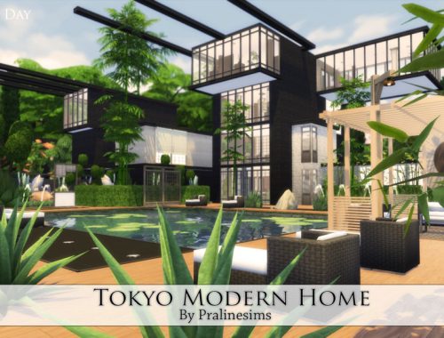 Tokyo Modern Home