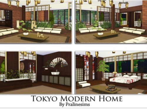 Tokyo Modern Home