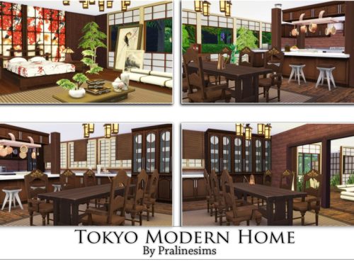 Tokyo Modern Home