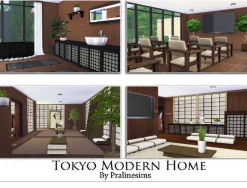 Tokyo Modern Home