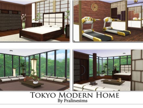 Tokyo Modern Home