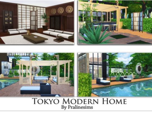 Tokyo Modern Home
