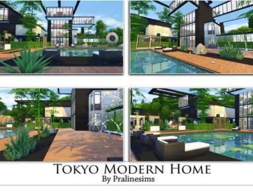 Tokyo Modern Home