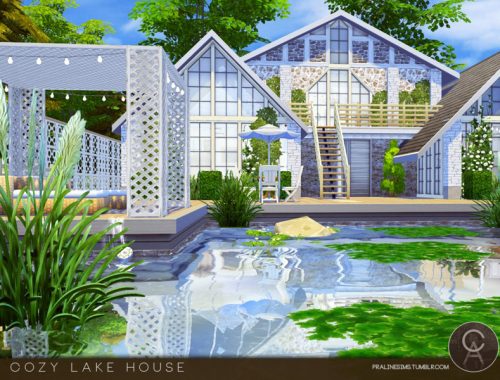 Cozy Lake House