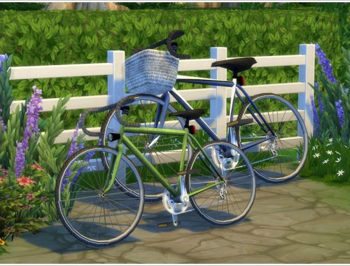 Set of Bicycles