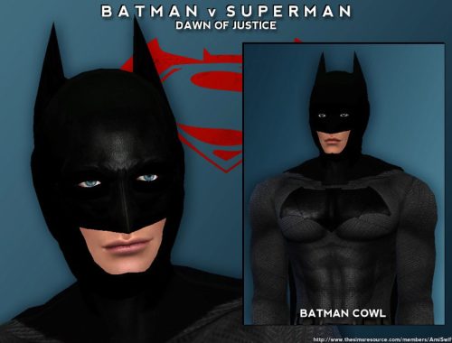 Batman v Superman Set