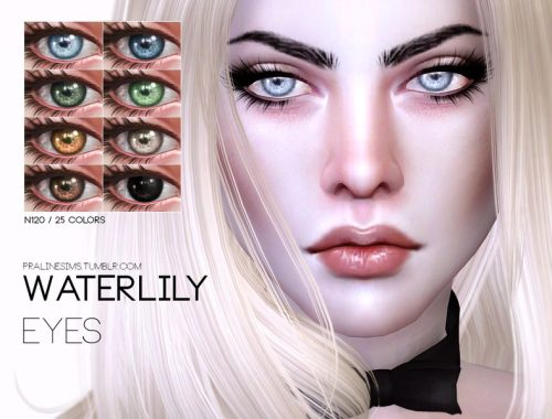 Waterlily Eyes N120