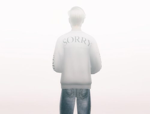 SORRY x PURPOSE TOUR COLLECTION - mesh needed