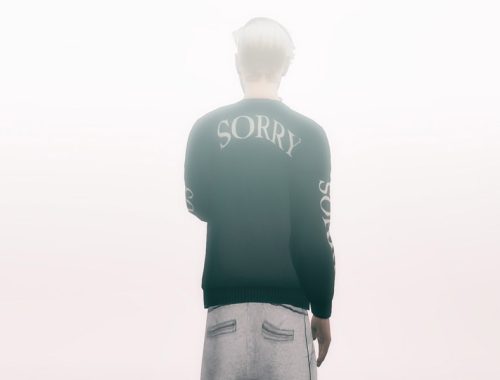 SORRY x PURPOSE TOUR COLLECTION - mesh needed