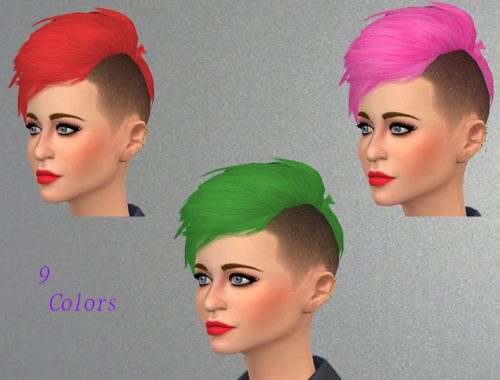 half hawk