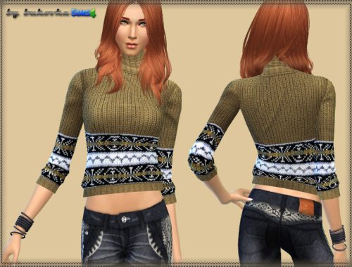 Sweater Turtleneck