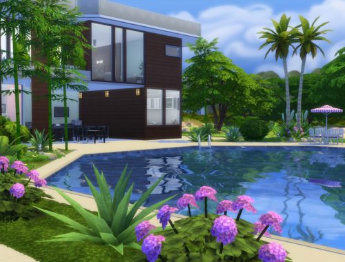 Luxury Modern