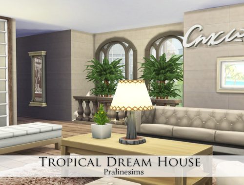 Tropical Dream House