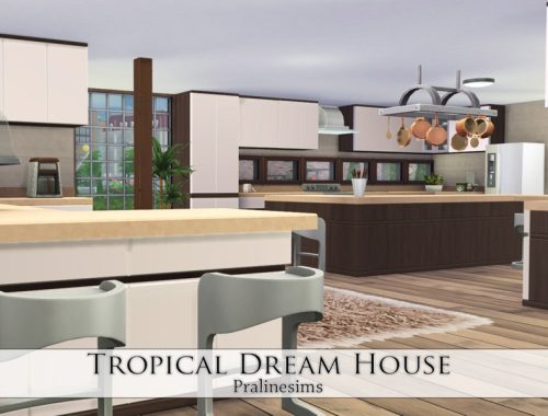 Tropical Dream House