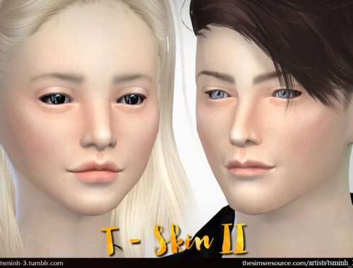 T - SKIN II