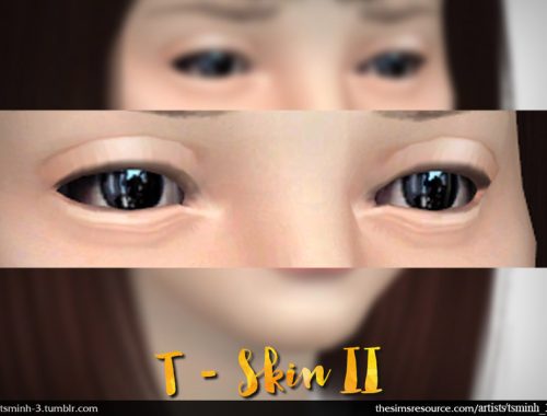 T - SKIN II