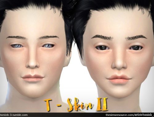 T - SKIN II