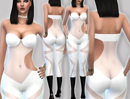 PZC_Angel Catsuit